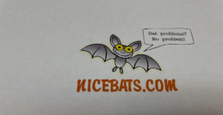 NICEBATS.COM BAT PROBLEMS? NO PROBLEM! logo