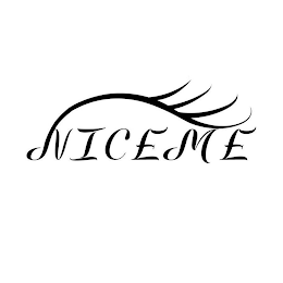 NICEME logo