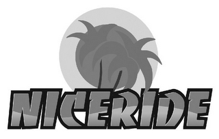 NICERIDE logo