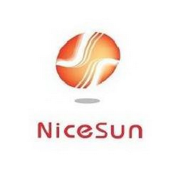 NICESUN logo