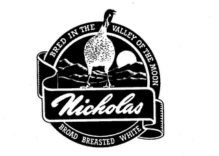 NICHOLAS BROAD BREASTED WHITE