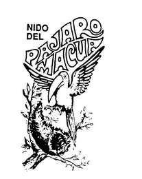 NIDO DEL PAJARO MACUA logo