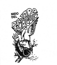 NIDO DEL PAJARO MACUA logo