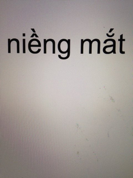 NIENG MAT logo