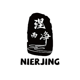 NIERJING logo