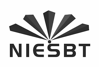 NIESBT logo