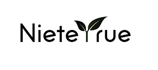 NIETEYRUE logo