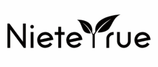 NIETEYRUE logo