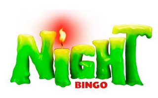 NIGHT BINGO logo