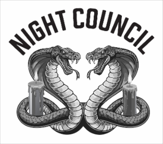 NIGHT COUNCIL logo