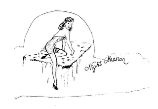 NIGHT MISSION logo