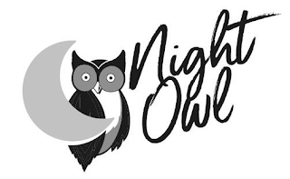 NIGHT OWL logo