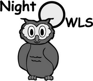 NIGHT OWLS logo