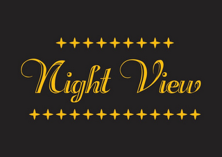 NIGHT VIEW logo
