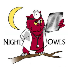 NIGHTOWLS logo