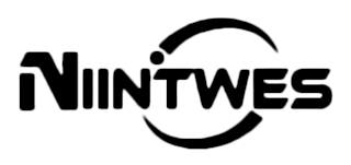 NIINTWES logo