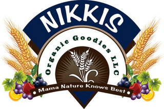 NIKKIS ORGANIC GOODIES LLC MAMA NATURE KNOWS BEST logo