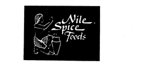 NILE SPICE FOODS logo