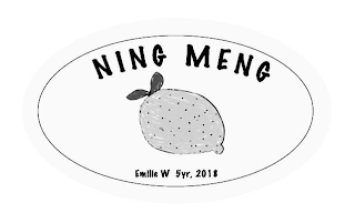 NING MENG EMILLE W 5YR. 2018 logo
