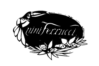NINI FERRUCCI logo