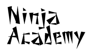 NINJA ACADEMY logo