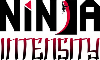 NINJA INTENSITY logo