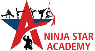 NINJA STAR ACADEMY logo