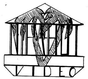 NIPAHUT VIDEO logo
