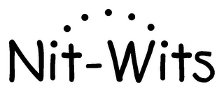 NIT-WITS logo