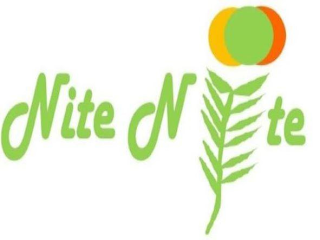 NITE NITE logo