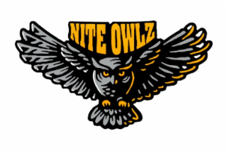 NITE OWLZ logo