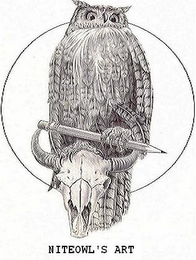 NITEOWL'S ART logo