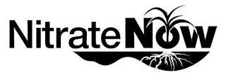 NITRATE NOW logo
