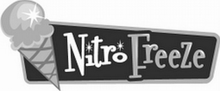 NITRO FREEZE logo