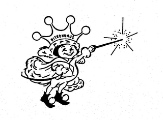 NITROHUMUS logo