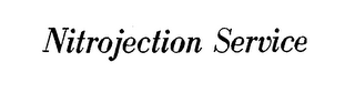 NITROJECTION SERVICE logo