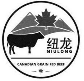 NIULONG CANADIAN GRAIN FED BEEF logo