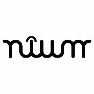 NIUM logo