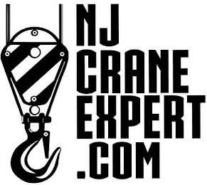 NJ CRANE EXPERT .COM logo