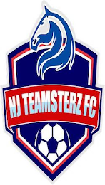 NJ TEAMSTERZ FC logo