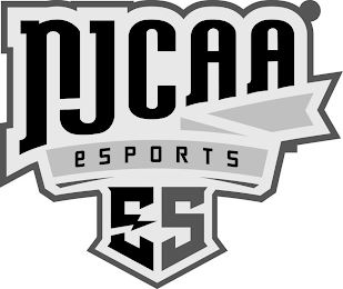 NJCAA ESPORTS ES logo