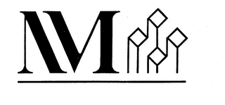 NM logo