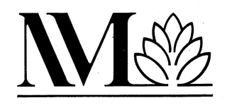 NM logo