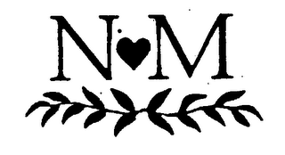 NM logo