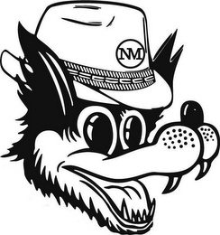 NM logo