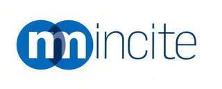 NM INCITE logo