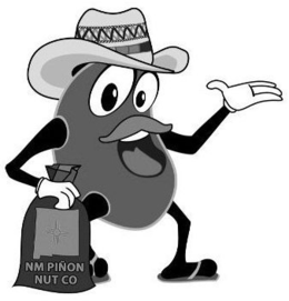 NM PIÑON NUT CO logo