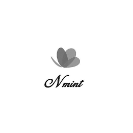 NMINT logo