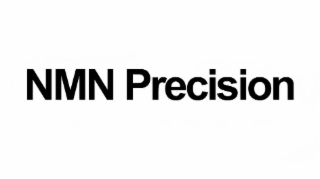 NMN PRECISION logo
