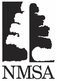 NMSA logo